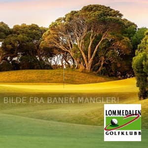 Lommedalen Golfklubb