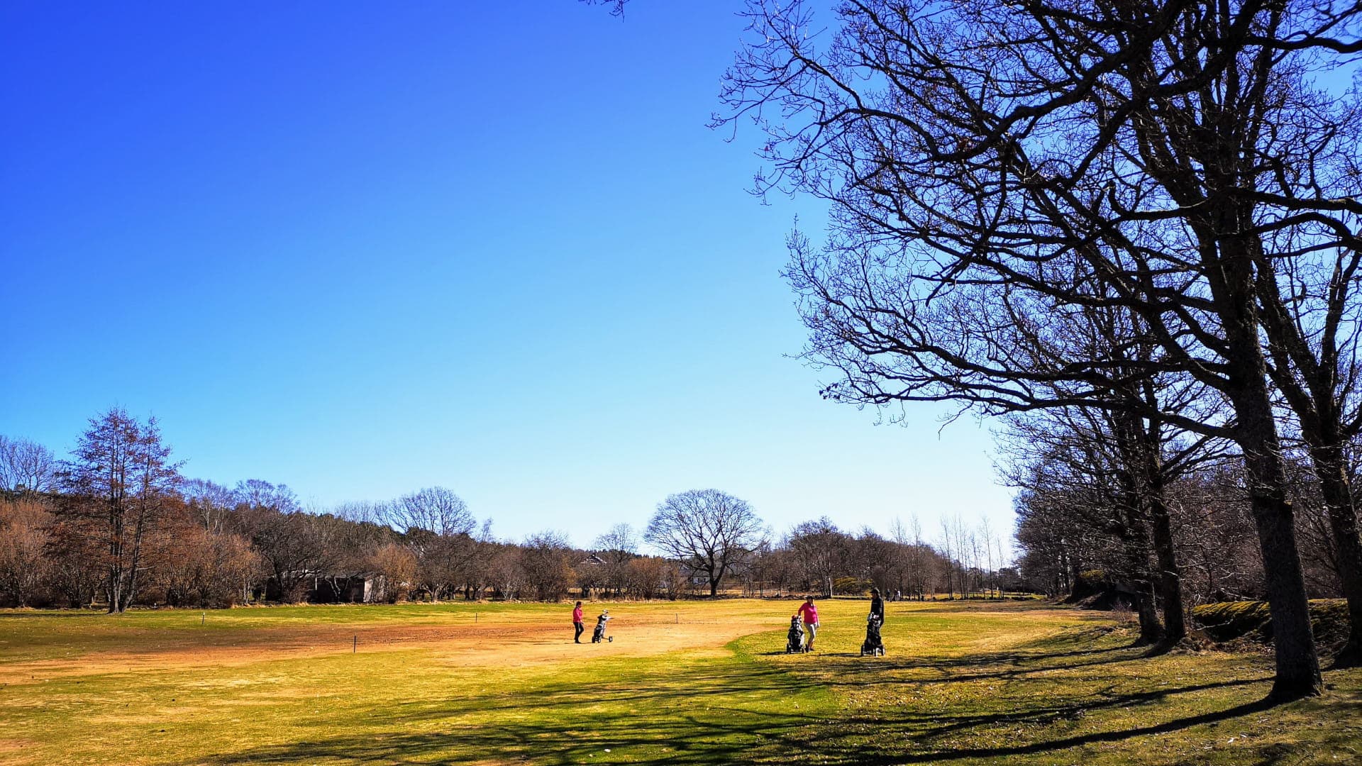 Banestatusoppdateringer