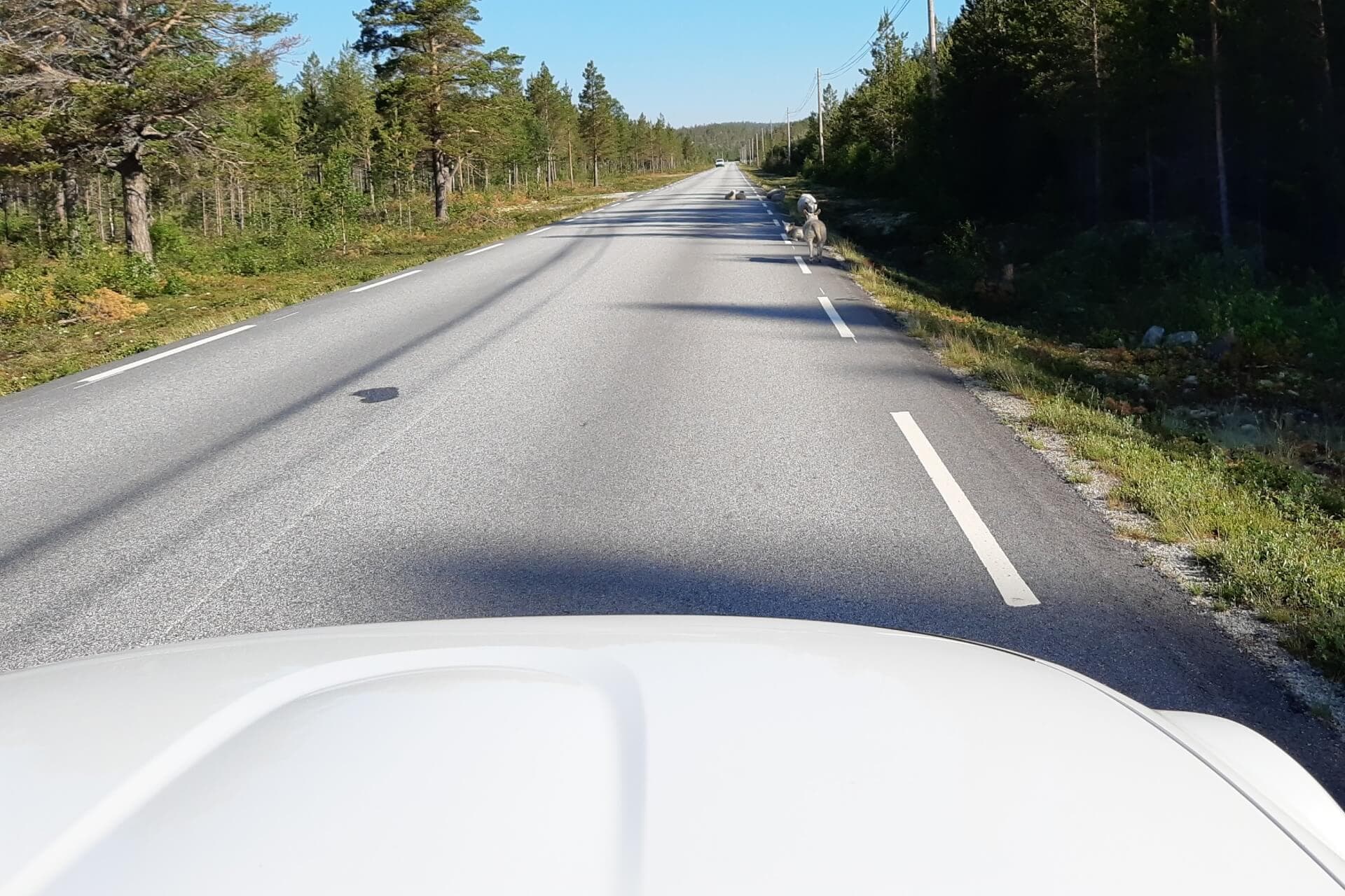 En «Ut av denne verden»-opplevelse!