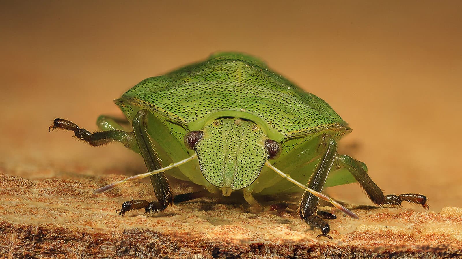 Feil funnet (og fikset?) etter ny versjon