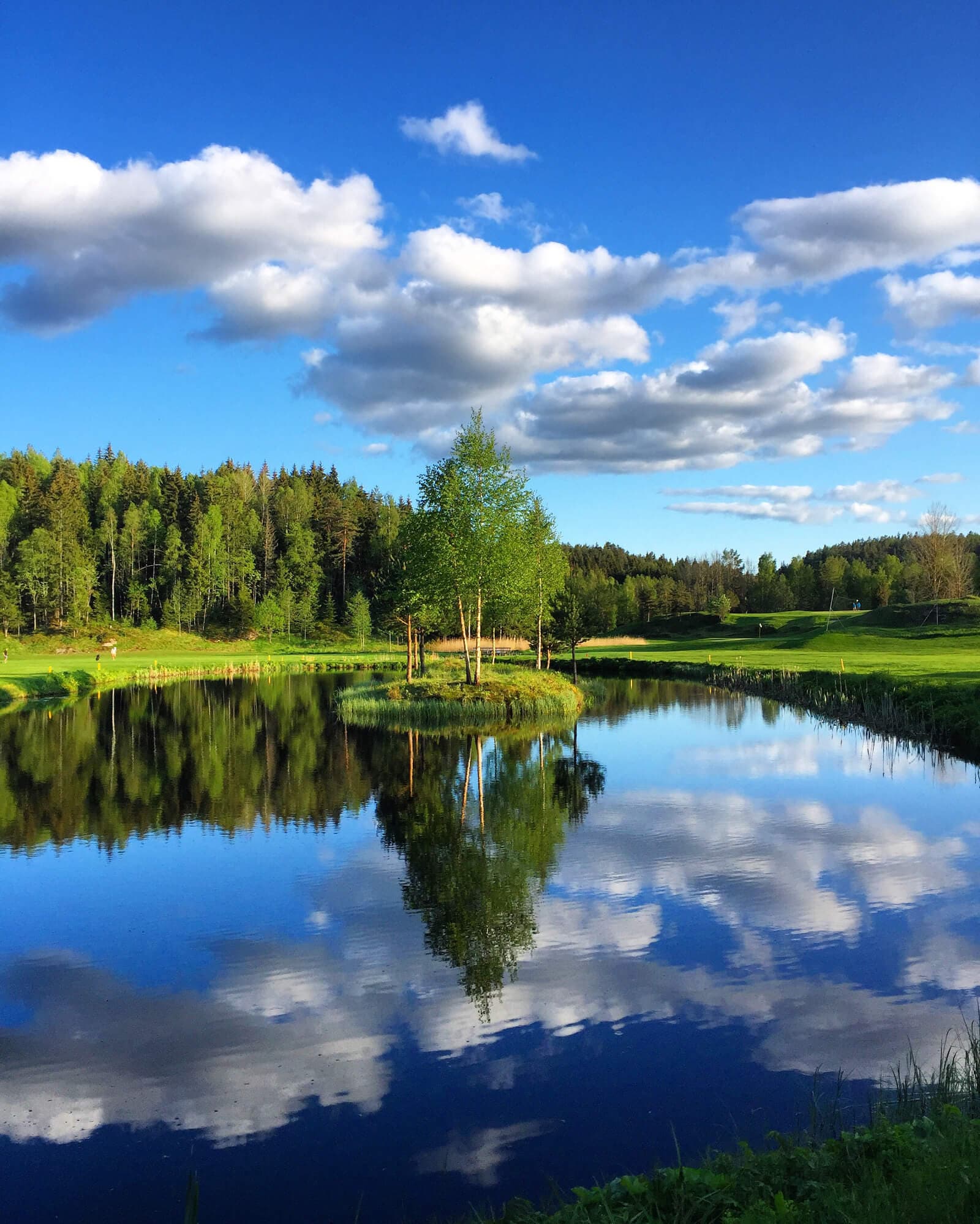 -Og dette gjør hun med en mobiltelefon…