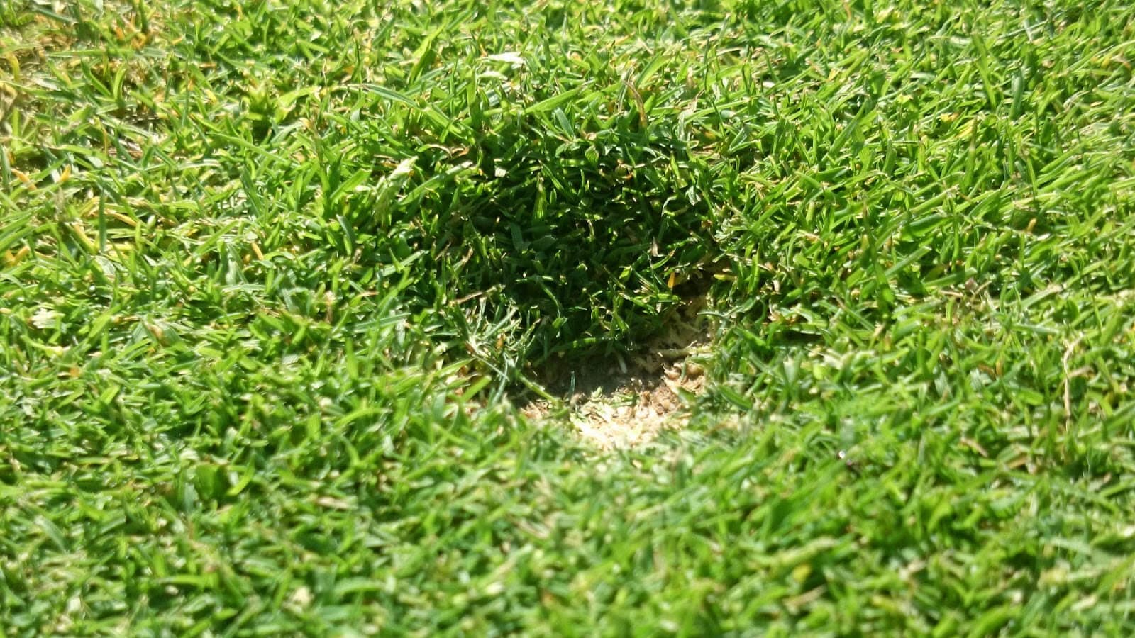 Også rutinene må åpenbart børstes støv av etter en lang vinter…